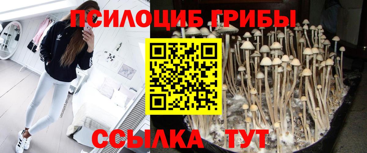 Галлюциногенные грибы ЛСД Чернушка