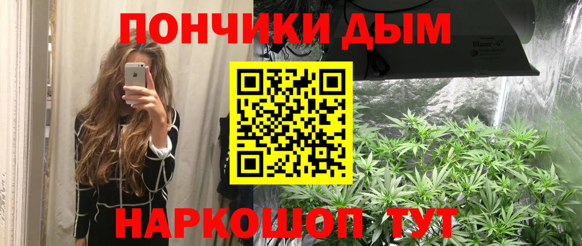Каннабис семена  Марихуана SATIVA & INDICA  Чернушка  Бошки Шишки марихуана  Вход с VPN 